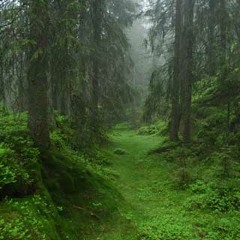 -f-t-h-r- bullarskogen