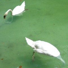 Sometimes I miss the things I hate bout you