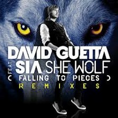 David Guetta Feat. Sia - She Wolf (Falling To Pieces) (Ankle Freakz & Raniere B. Remix)
