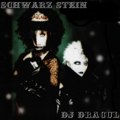 Schwarz Stein DJ Dracul