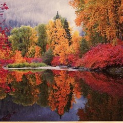 What a wonderful world