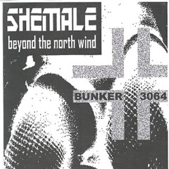 Shemale - Aerobicide