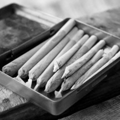 The Team - Hood Economics