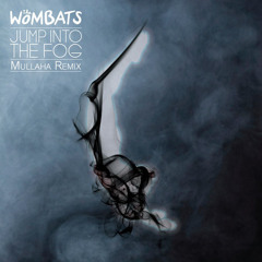 Jump Into The Fog- The Wombats(Mullaha Remix)