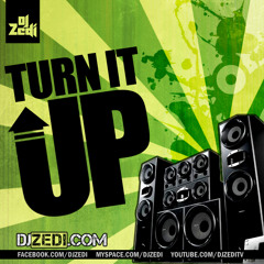 DJ Zedi - Falak Tak Remix - Feat. Nelly and Kelly Rowland