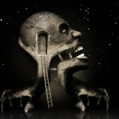 BAS.punkt.01_blankamix_10.12_