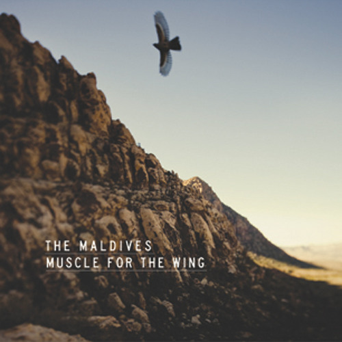 05 Muscle For The Wing