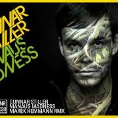 Manaus Madness- Gunnar stiller - Marek Hemmann Remix
