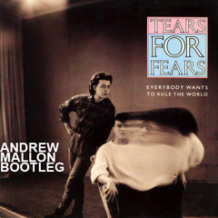Tears for Fears - Everybody Wants to Rule the World (Andrew Mallon Bootleg)