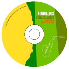 Espléndida noche (Ricardo Pérez)