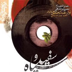 شاهد غم | عبدالحسین مختاباد