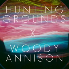 Star Shards (Paul 'Woody' Annison Remix)