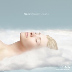 Kodek - Golden Field