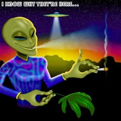 Psy Vibes Bangalore India ( Mix of O.Z.O.R.A )