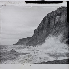 Sam Willis - Foxglissandro