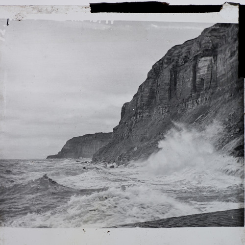 Sam Willis - Foxglissandro