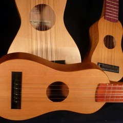 Los Soneros del Este - Caminemos