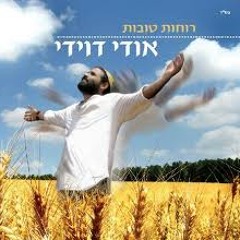 ממעמקים - אודי דוידי