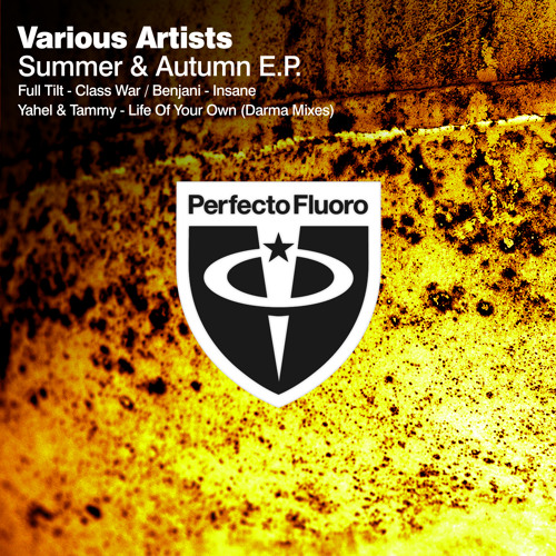 Yahel & Tammy - Life Of Your Own ( Darma Vocal mix )