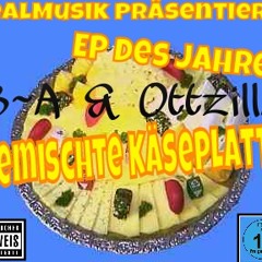 B~A & Ottzilla - Gestört aber Geil