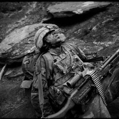 Es könnte so schön sein