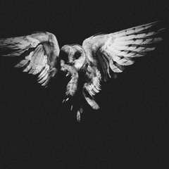 Stefan Trummer - Die Eule der Nacht feat. Marife OUT May 1st 2014