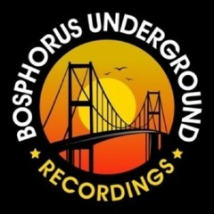 Ted Dettman - Groove Is Bitch (Original Mix) [ Bosphorus Undeground Recordings ] OUT NOW !!!!