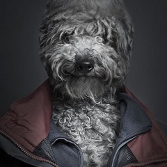 LET ME SHOW YOU HOW - DBN-PROJECT