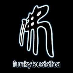 Funka Electronica 2008 funkybuddhaMix By DJ Levi Love - fbmayfair.co.uk (funky buddha)