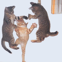 Let's Dance (free download)