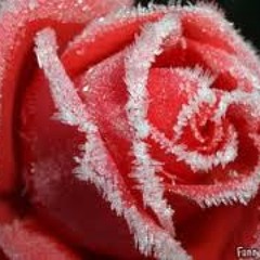 It's a Cold World/Decreasing Temperatures- Naturallay Addictive Productions