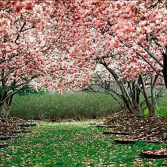 07 - Gopal Singh - Sa Dharti Bahi Haryawali - SikhSangeet.Com