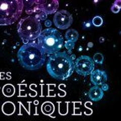 poésies_soniques 2012 preview mix @blue_fish studio