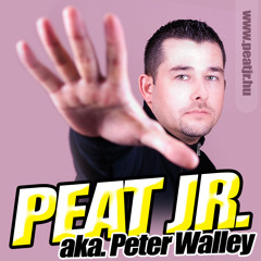 Staves Vs.  Roc Project feat. Tina Arena - Never Overtime / Peter Walley Aka. Peat Jr. Mashup /