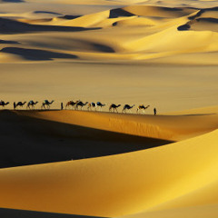 UFO-Dancing in Sahara Desert