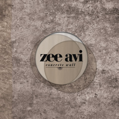 Zee Avi - Concrete Wall (Nicolai Toma Edit)