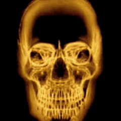 THIS HAS GOT TO STOP