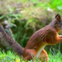 အင္းလ်ားလမ္းမေပၚမွာ zwepaimhu , hein htet