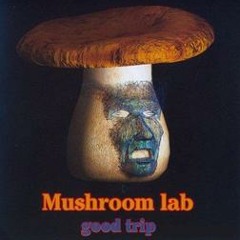 Mushroom Lab - Morph Trap