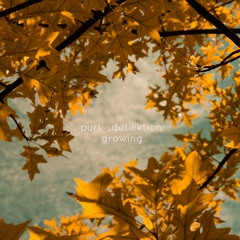 Purl & Deflektion - Autumn Legend