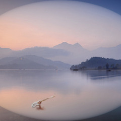Alone In The Mist