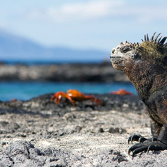 Galápagos (Documental)