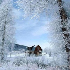 Pretty Pretentious Pricks Pushing People Past