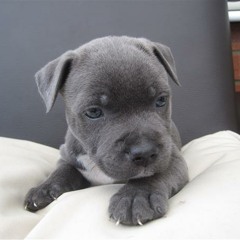 Orbital Vs Nalan & Kane - Beachball Halcyon (RikkiJonBootLeg)