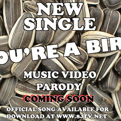 YOU'RE A BIRD (CLEAN) Joselito Romantiko From 8JTV