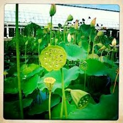 Greenskeeper vs Bevvy Swift - Skip Hop https://soundcloud.com/bevvy_swift