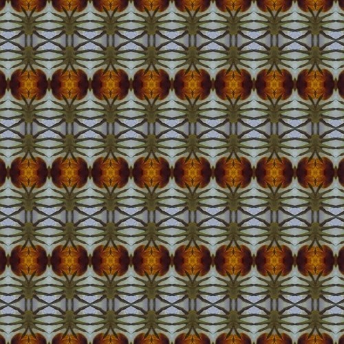 Mesmers "Springled (MesmoMix)"