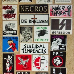 You Stupid Jerk (Angry Samoans cover)