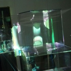 Genuine Skin: Conscious Conscience