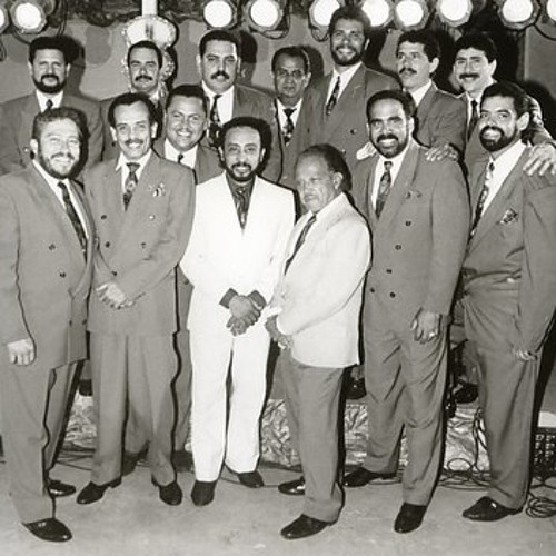 La Sonora Poncena